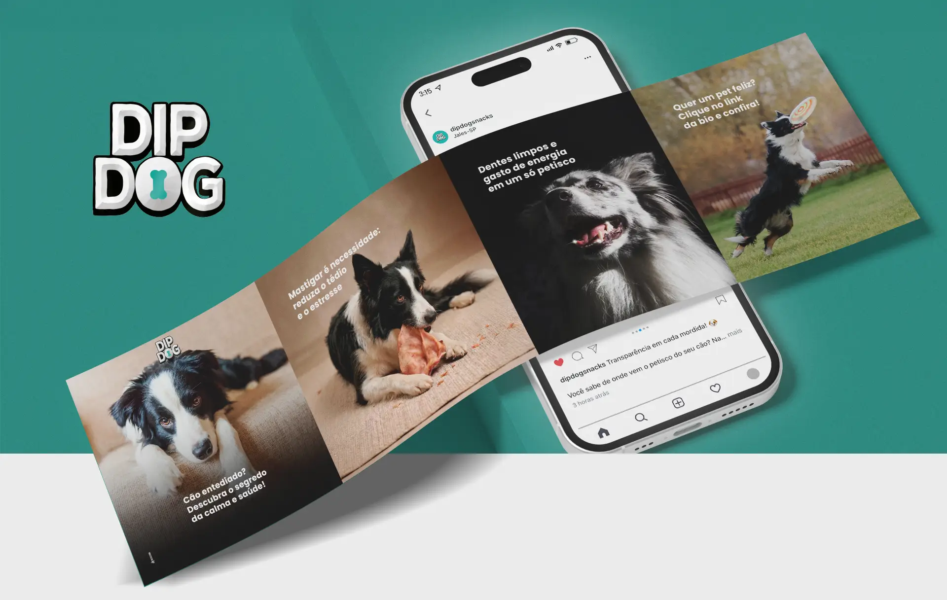 w3com_site_case_dip_dog_03 Mockup em perspectiva de um smartphone exibindo publicações do Instagram da marca DipDog com fotos de cães da raça Border Collie correndo e roendo petiscos