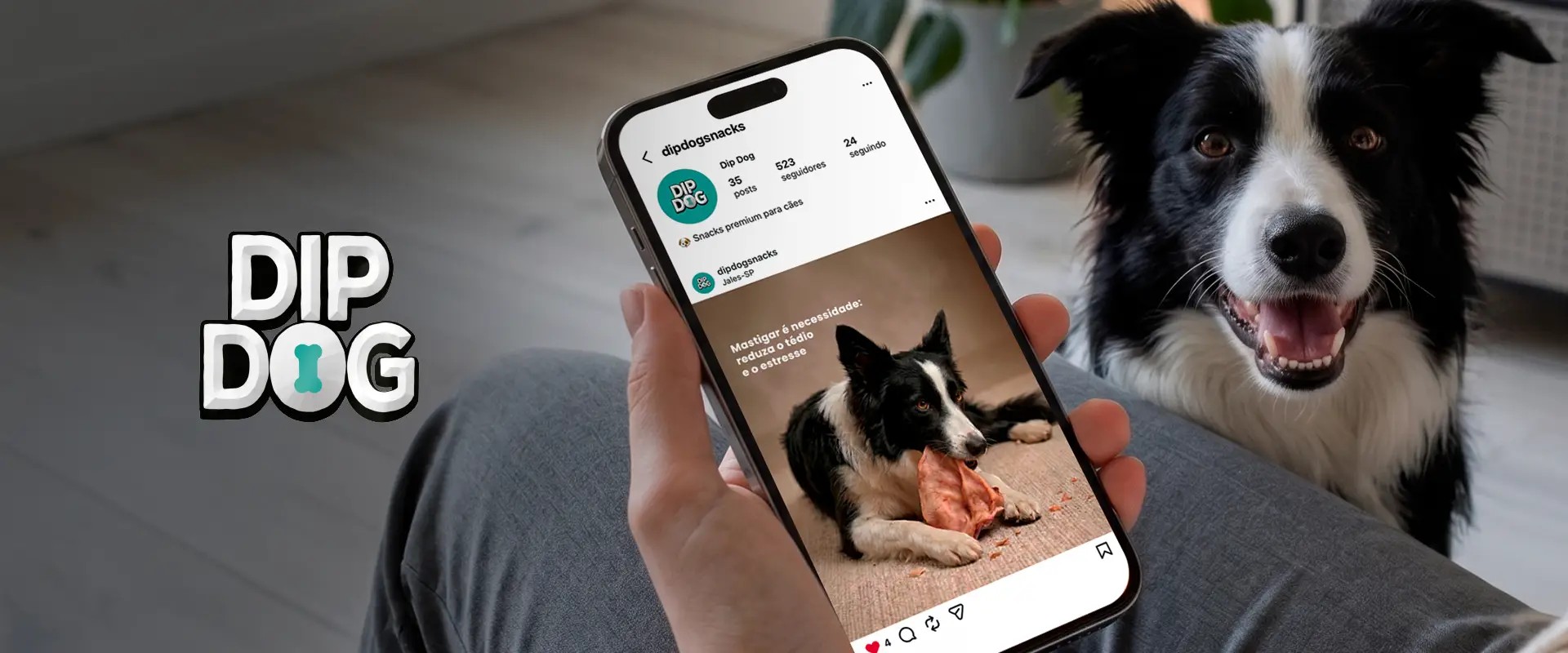 w3com_site_case_dip_dog_topo pessoa segurando celular que mostra o perfil do Instagram da DipDog com um Border Collie roendo petisco natural ao fundo